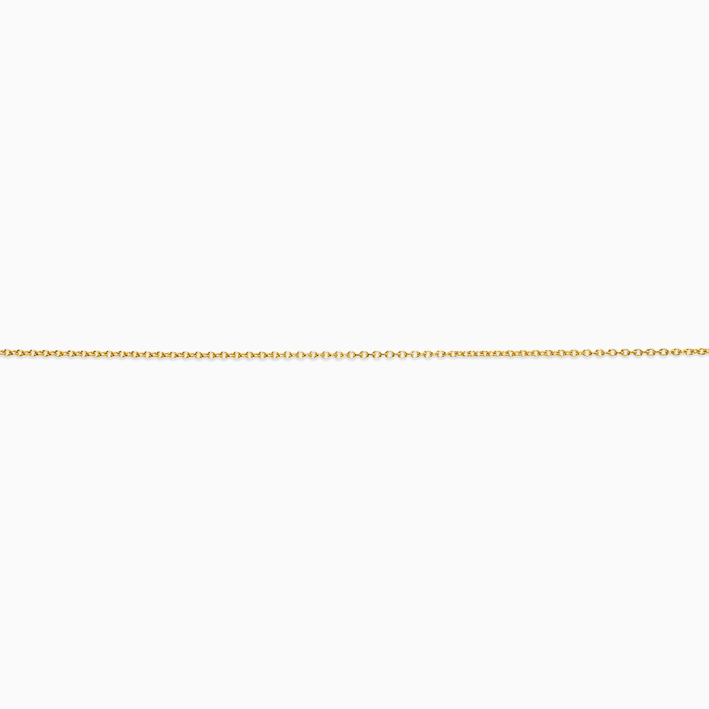 Collar de cadena con eslabones clásicos de 10k
